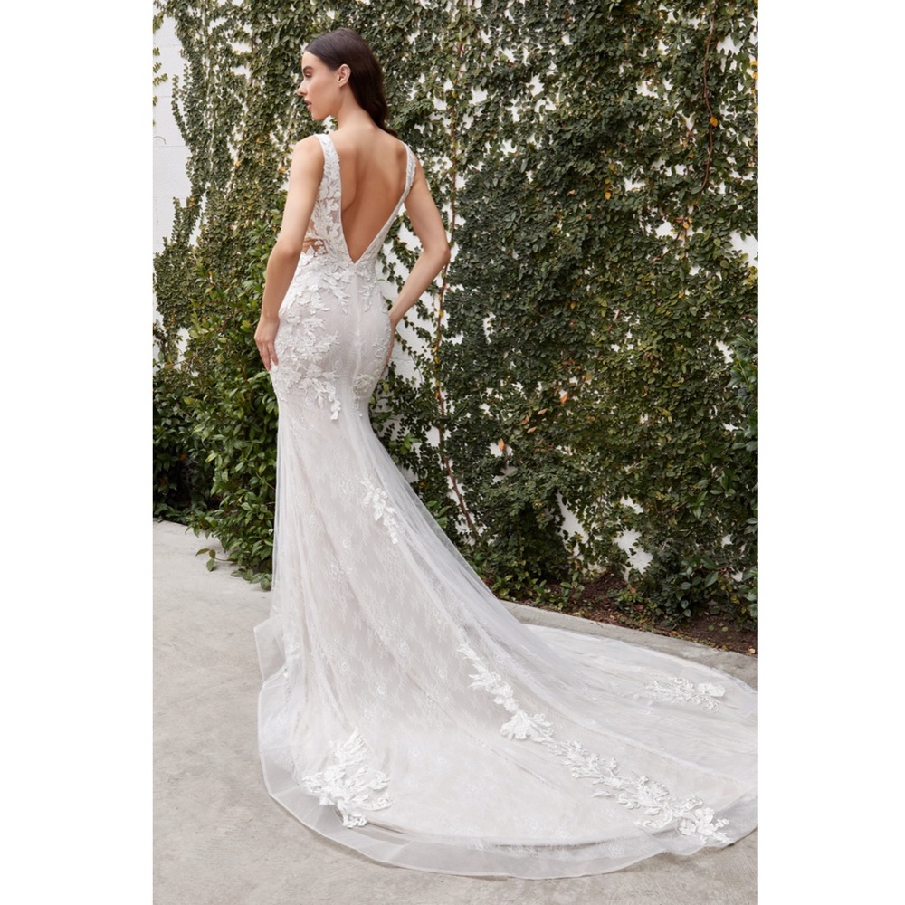 Off White Lace Fit & Flare Bridal Gown - Picture 2 of 6